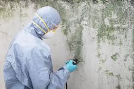 Best Emergency Mold Remediation  in Lake Dunlap, TX